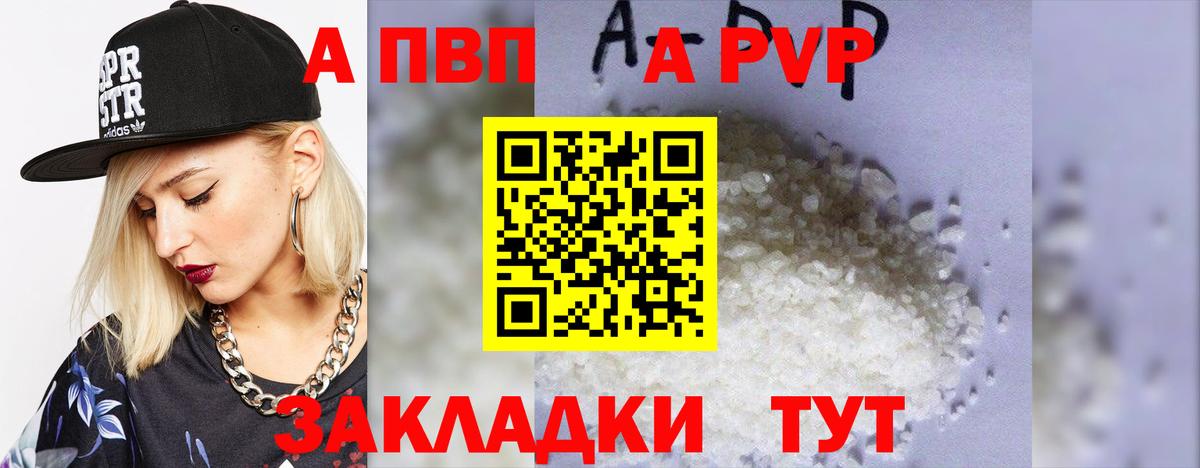 Альфа ПВП СК Калининград